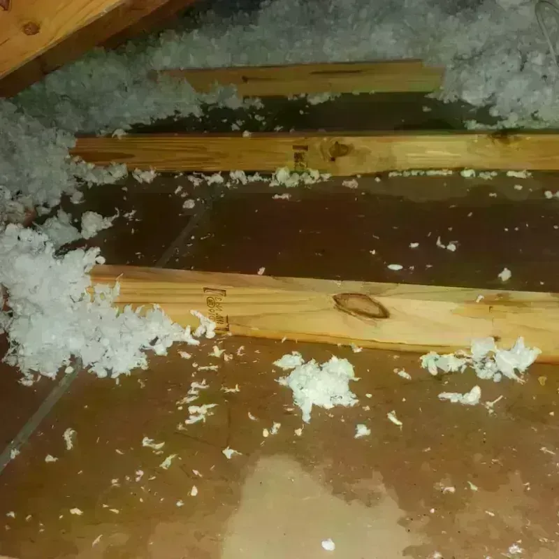 Attic Water Damage in Batesville, TX